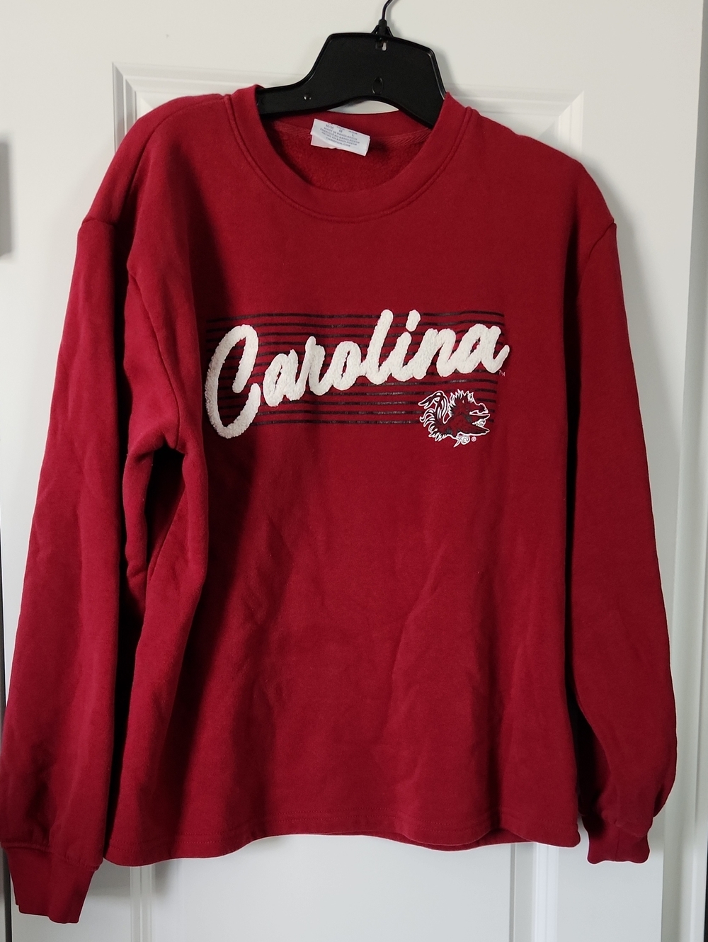 South Carolina Gamecocks Sweatshirt Mens M Champion Embroidered